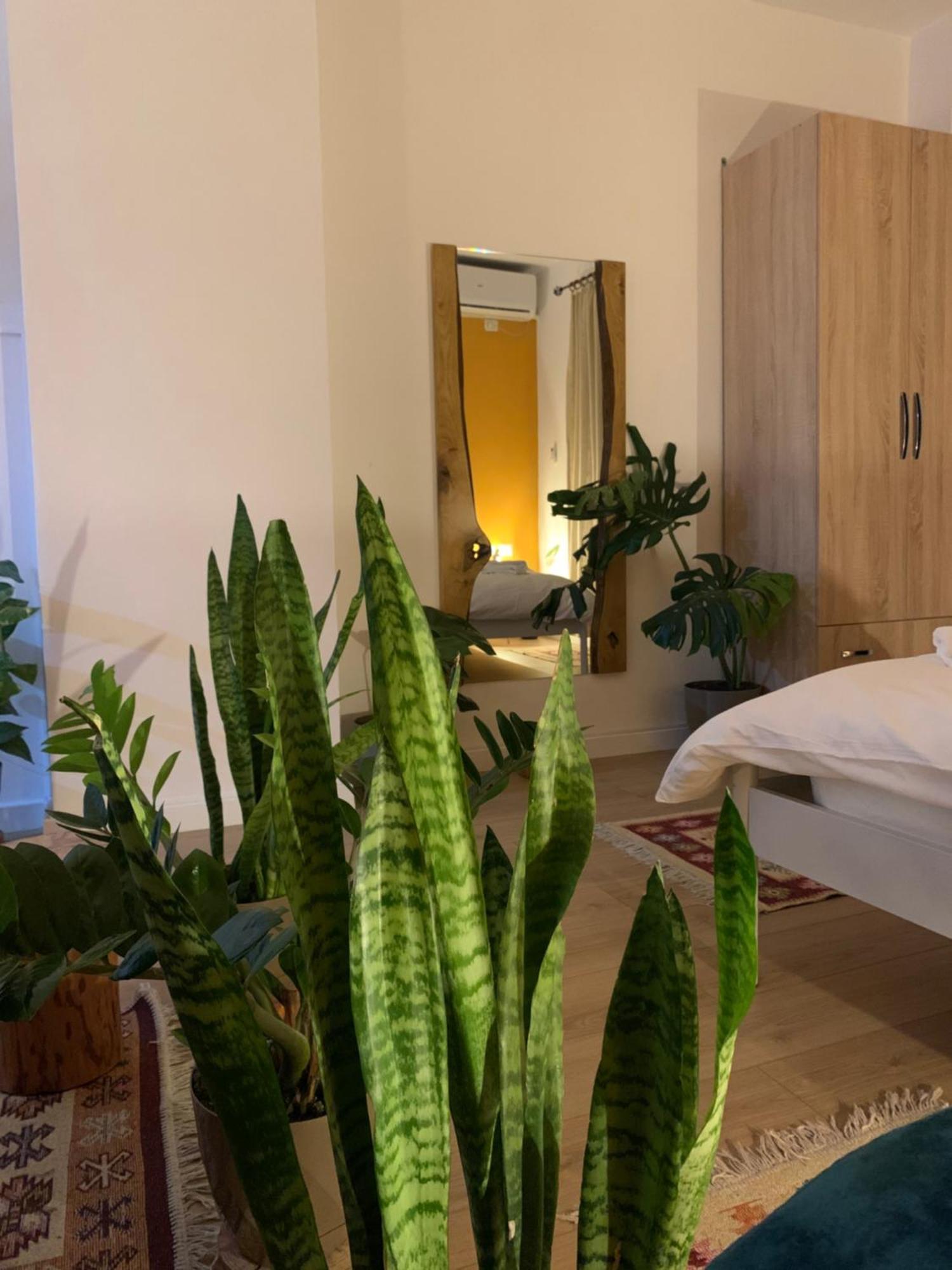 Vibe Studio Apartment Tirana Esterno foto